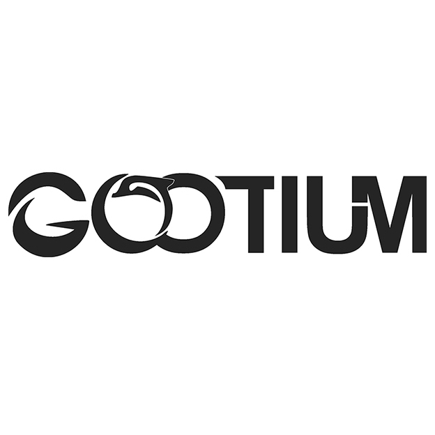 gootium-bags-accessories_myshopify_com_logo.jpg