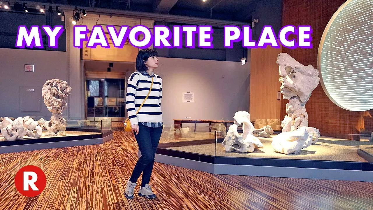 Welcome to the Field Museum Tour! // Best Natural History Museum // Chicago, IL