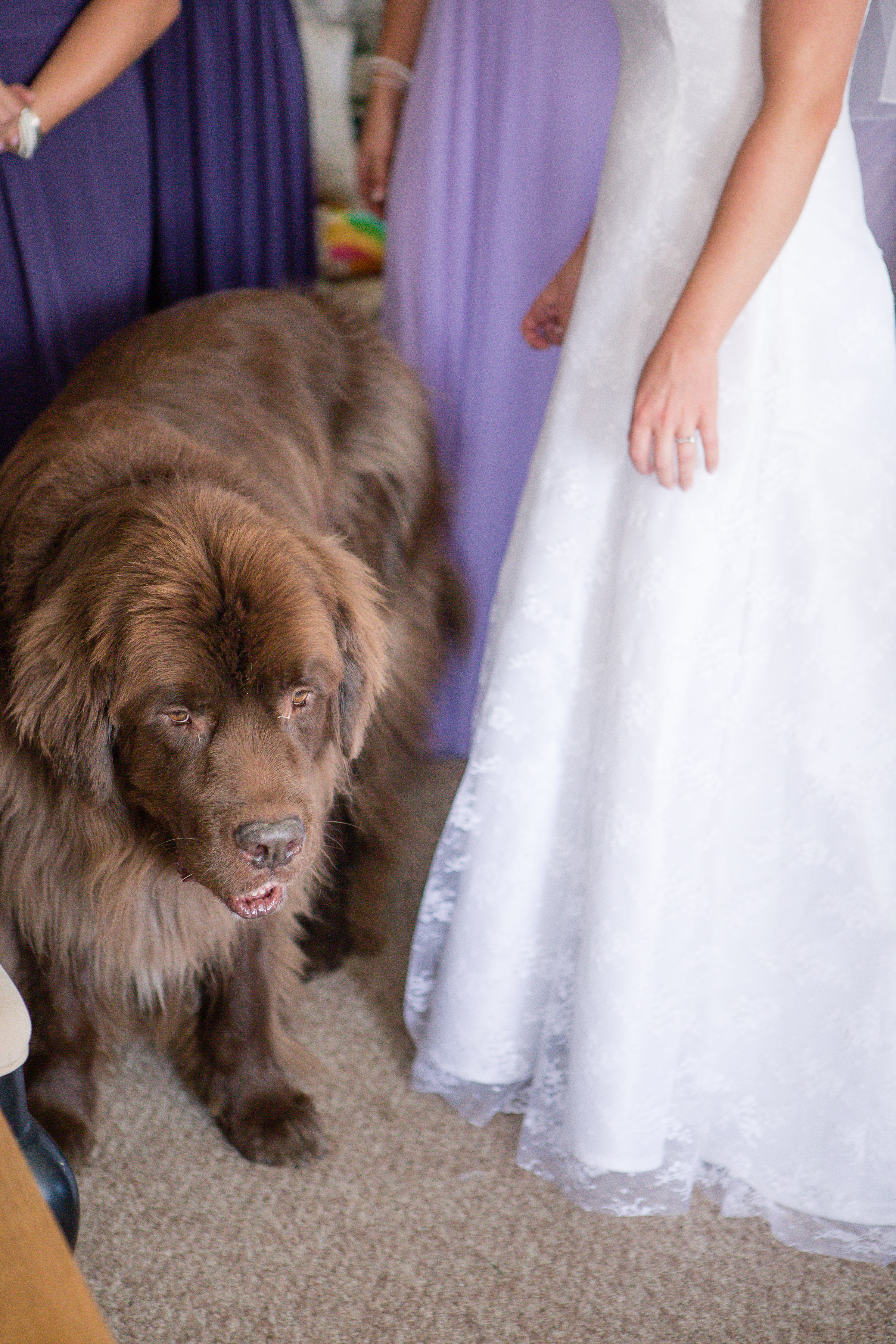 Emily+Thomas-119.jpg