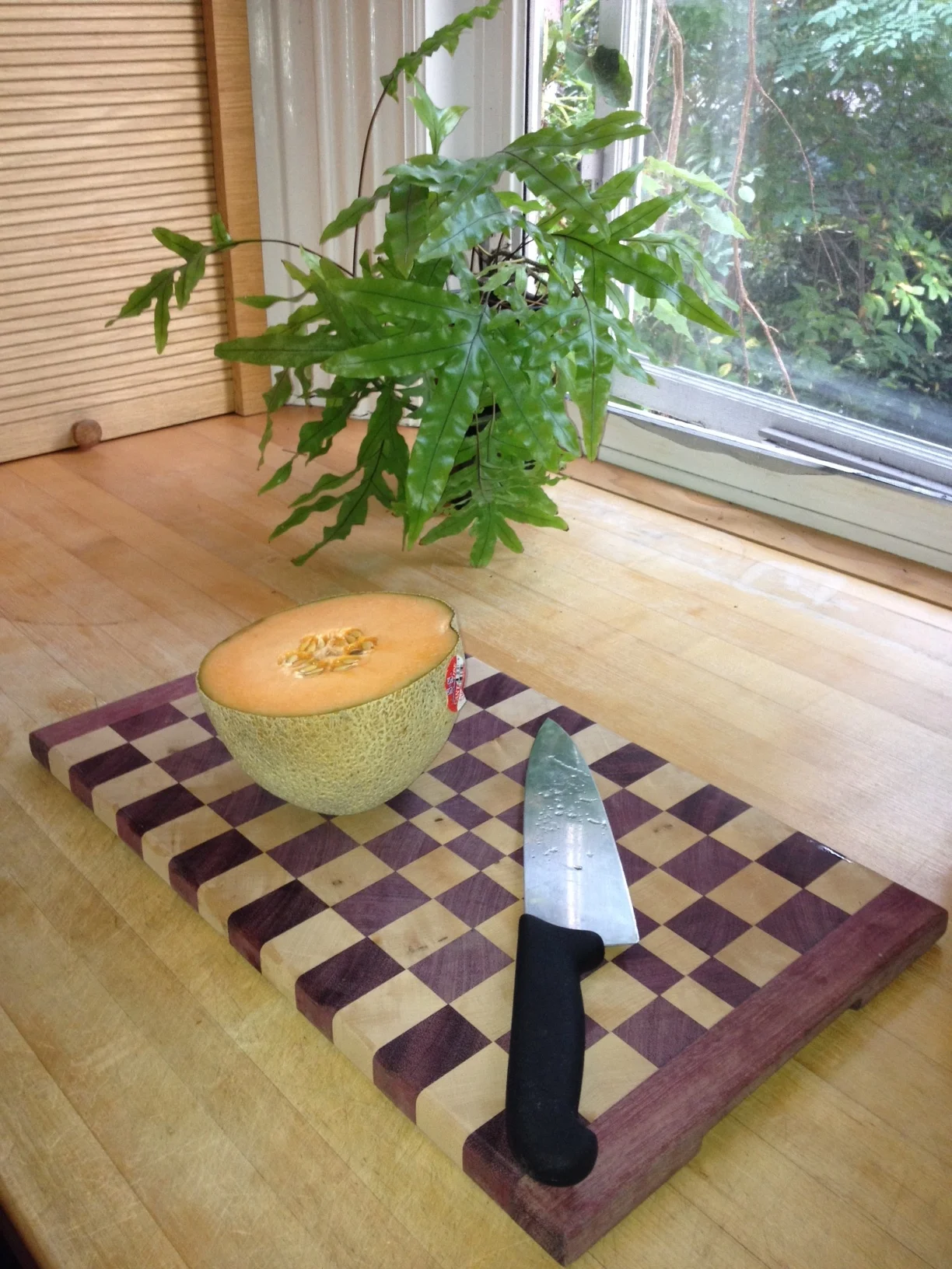 End Grain in Kitchen.JPG