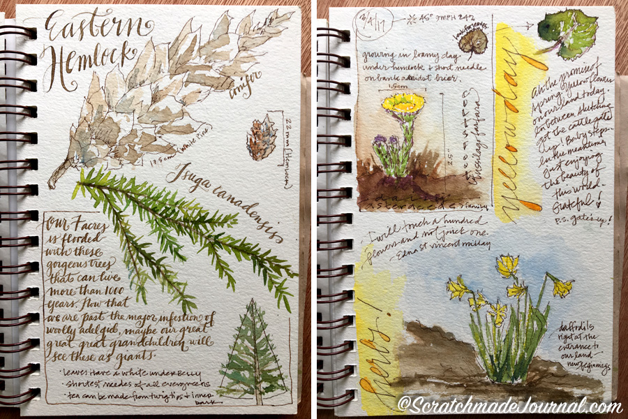 Strathmore Visual Watercolor Journal Review — Scratchmade Journal