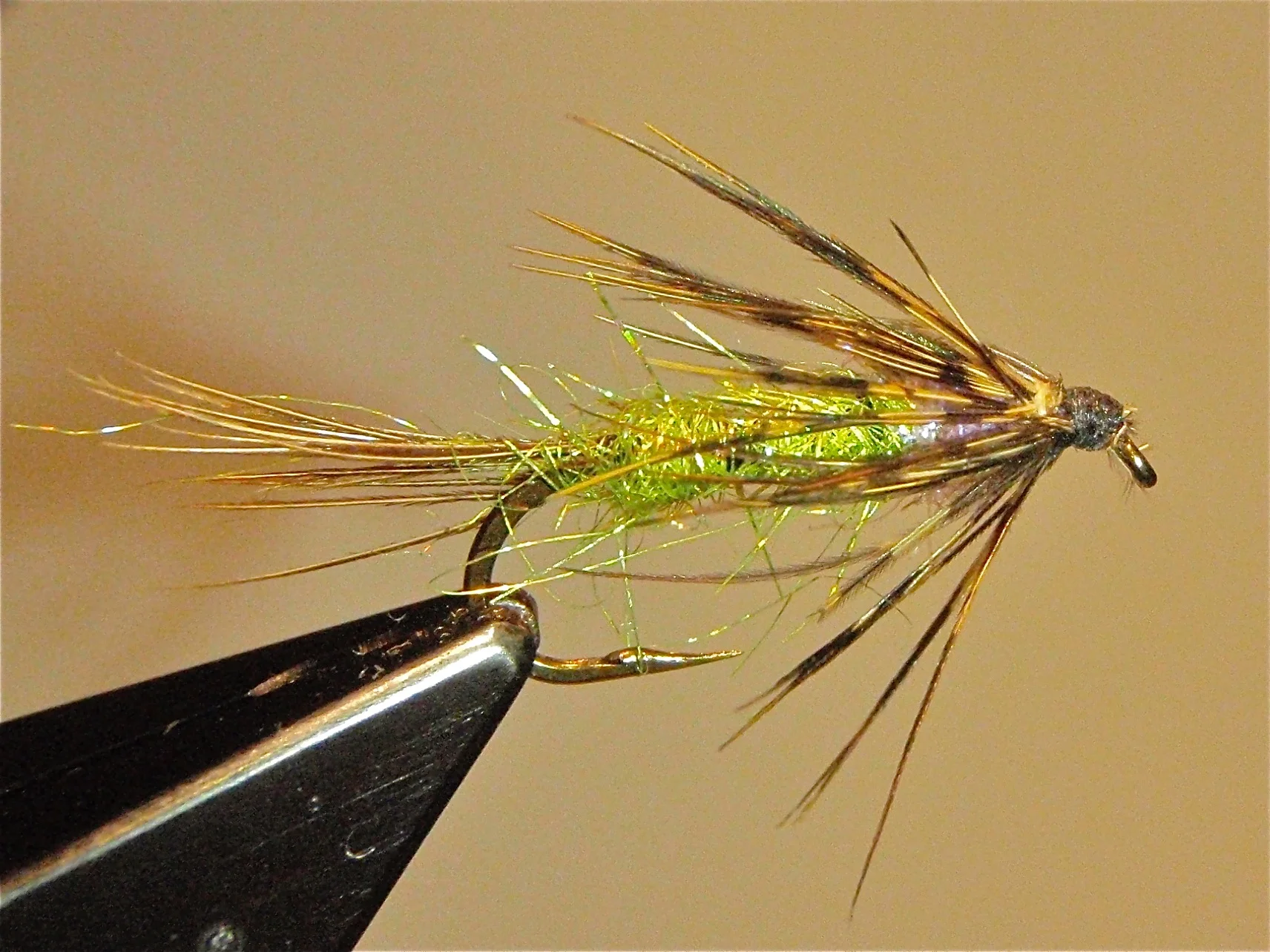 The Willowfish