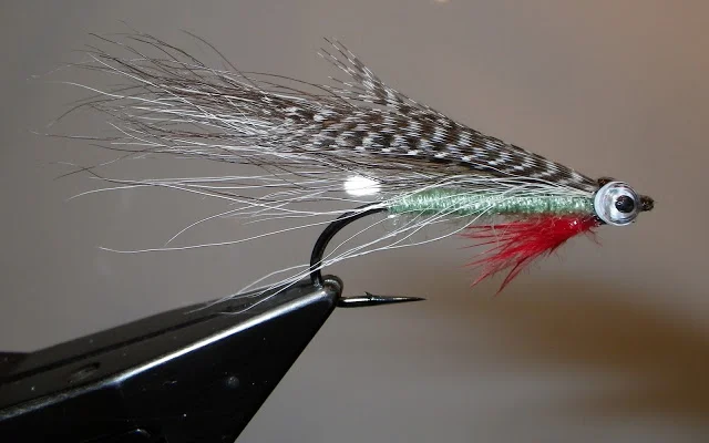 The Warmwater Chub.jpg