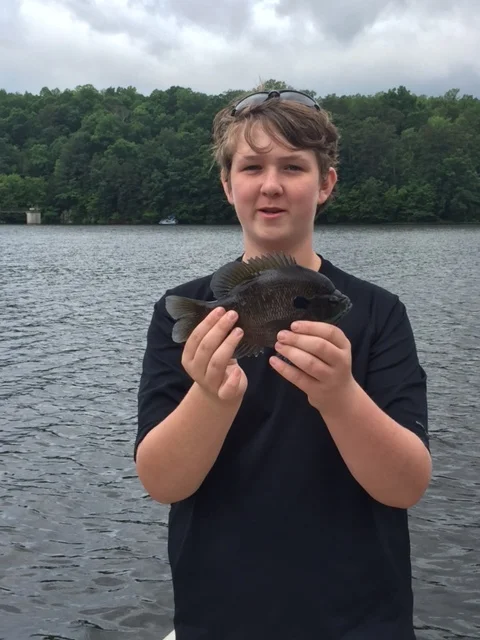 Another hard fighting, nicely colored bluegill taken at the cow pasture.