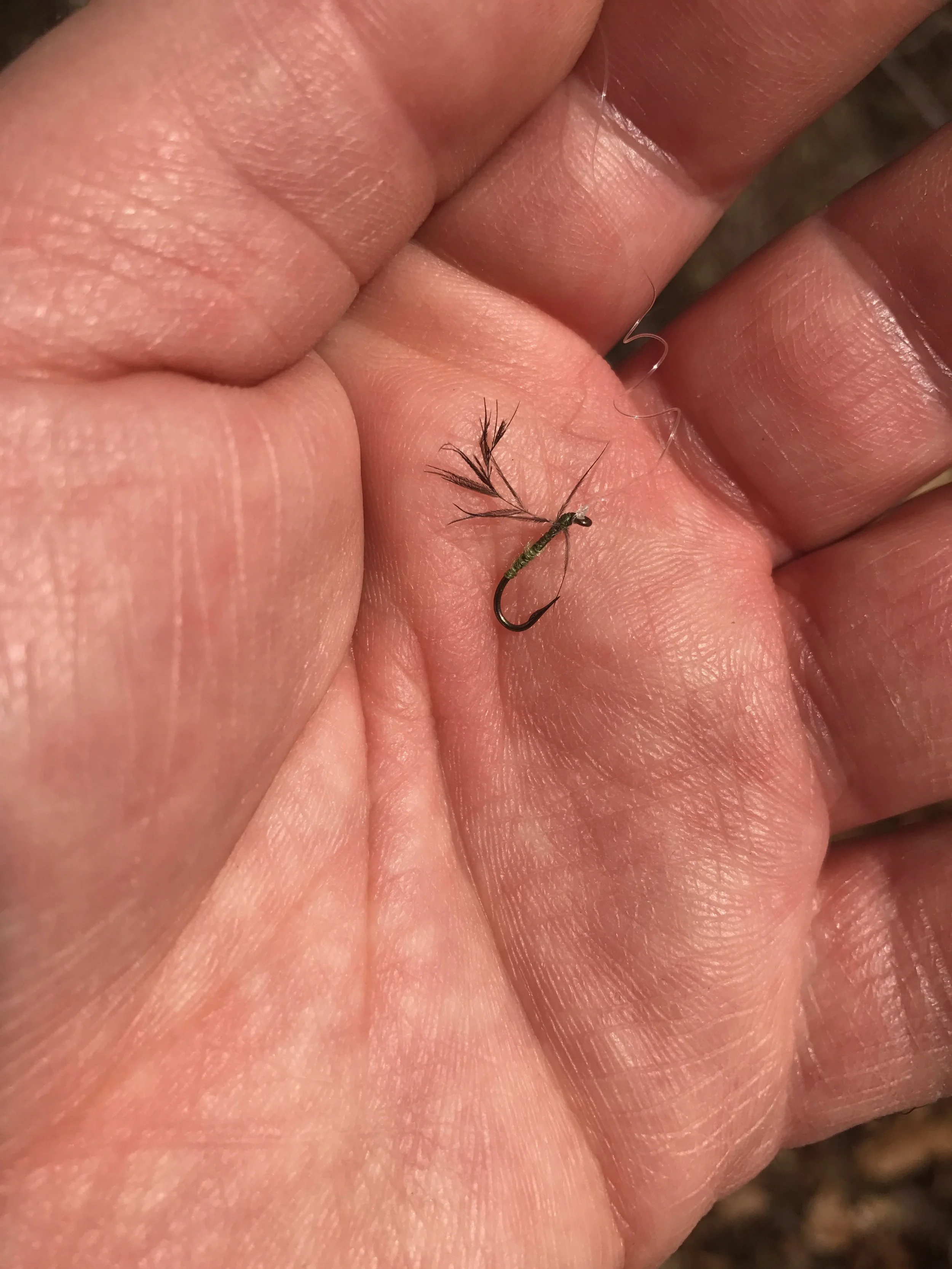 This well chewed fly is still catching fish like crazy! Is tying intricate patterns a waste of time?