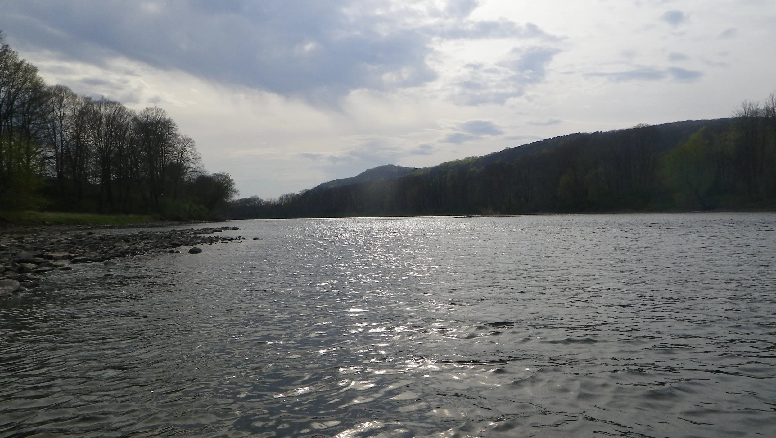 Prime shad habitat.