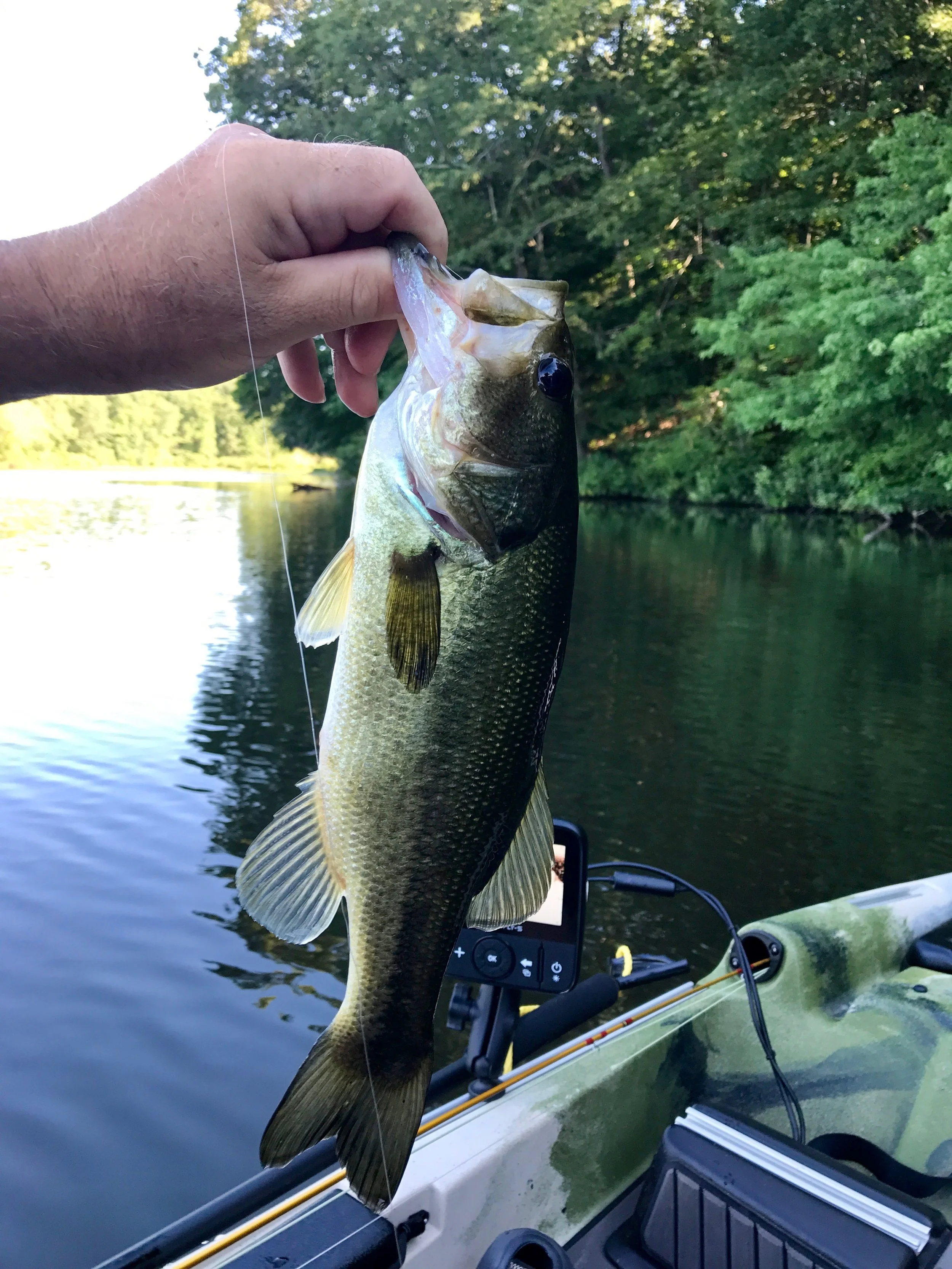 The first bass of the day was caught on on the bright little Clouser style fly (third from right on top row)