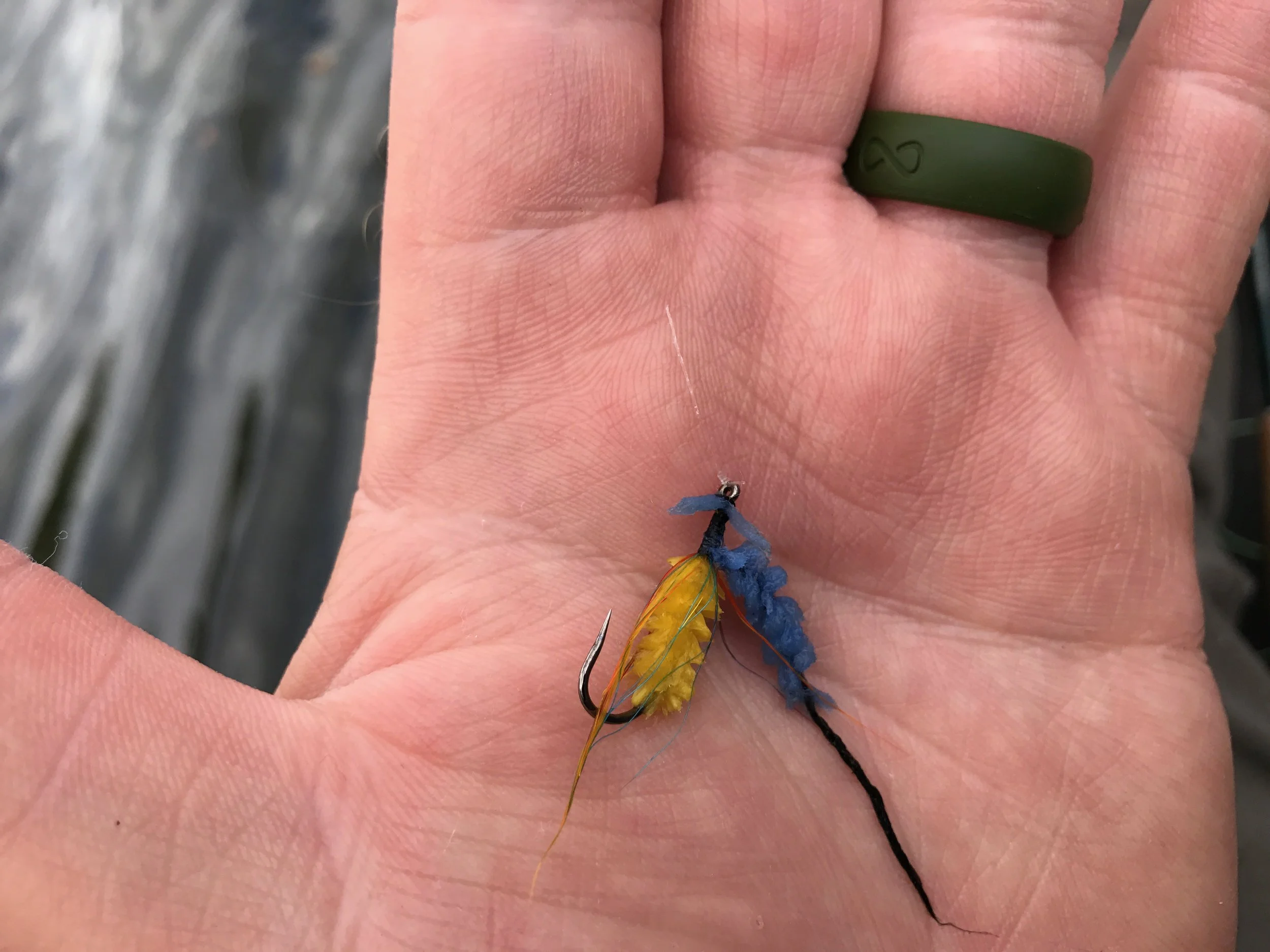 Pickerel are the bluefish of fresh water. They will quickly put the durability of your flies to the test!