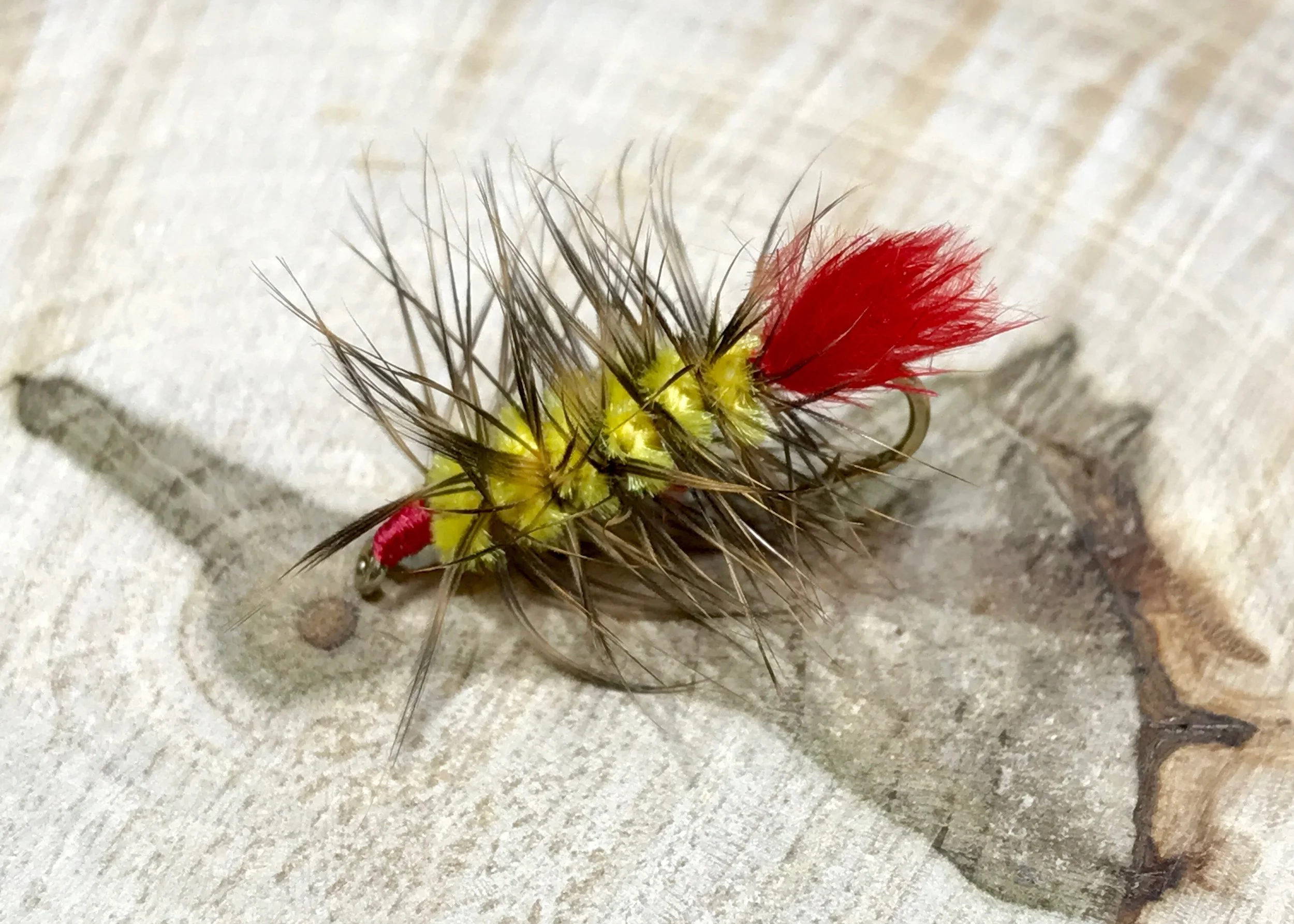 Chartruese and red