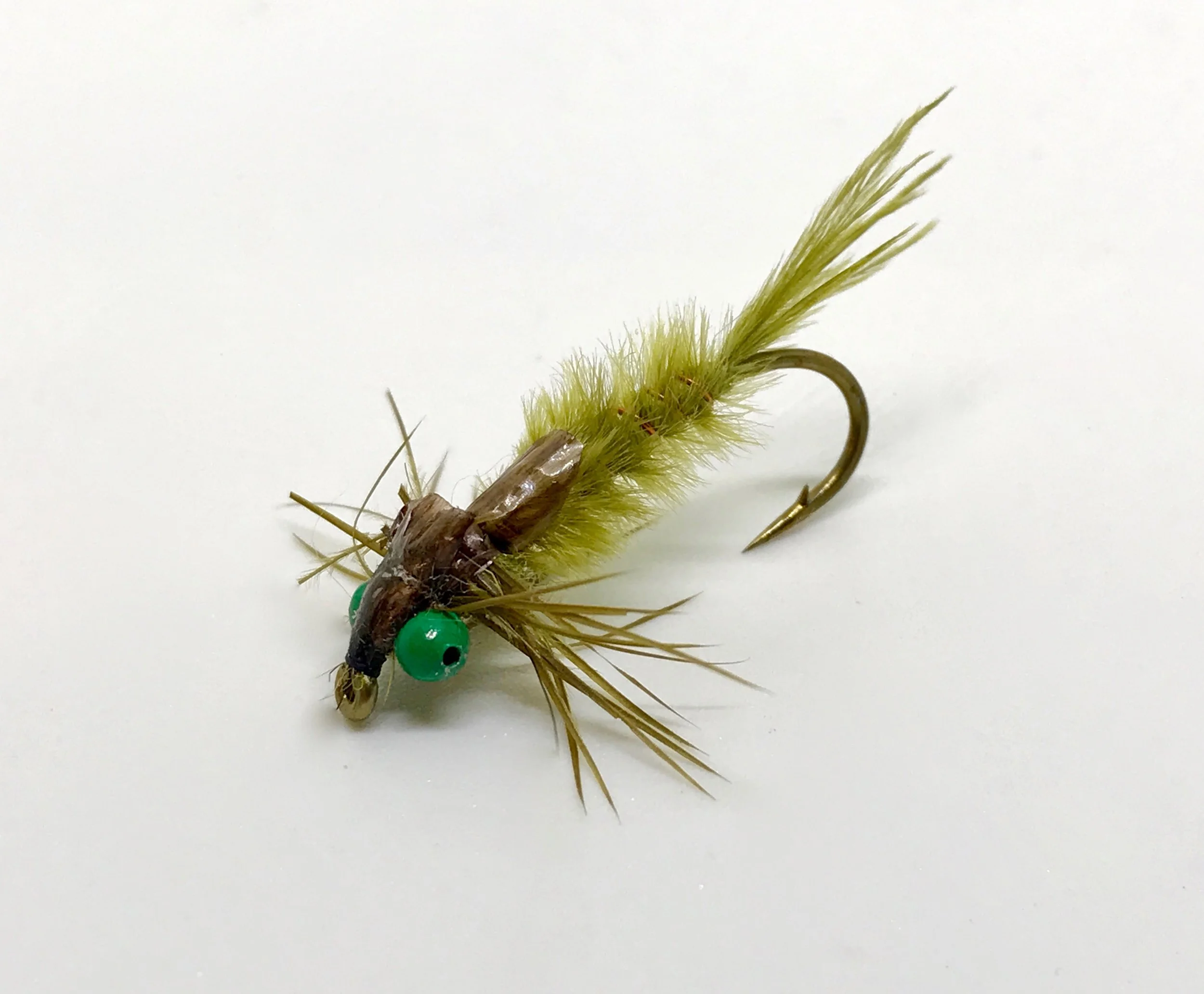 Green Eyed Damsel