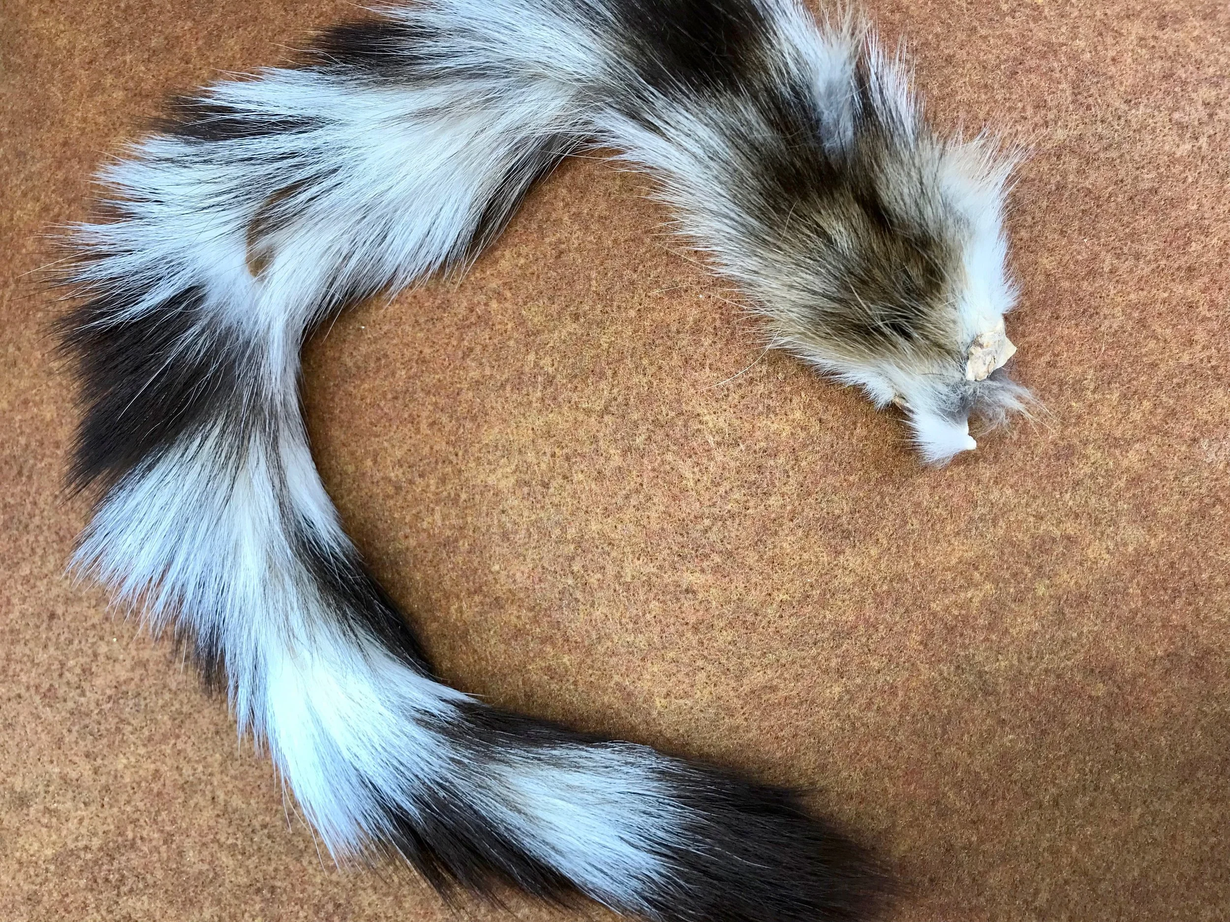 Monga ringtail may be difficult to source so feel free to substitute a mix of black and white bucktail.
