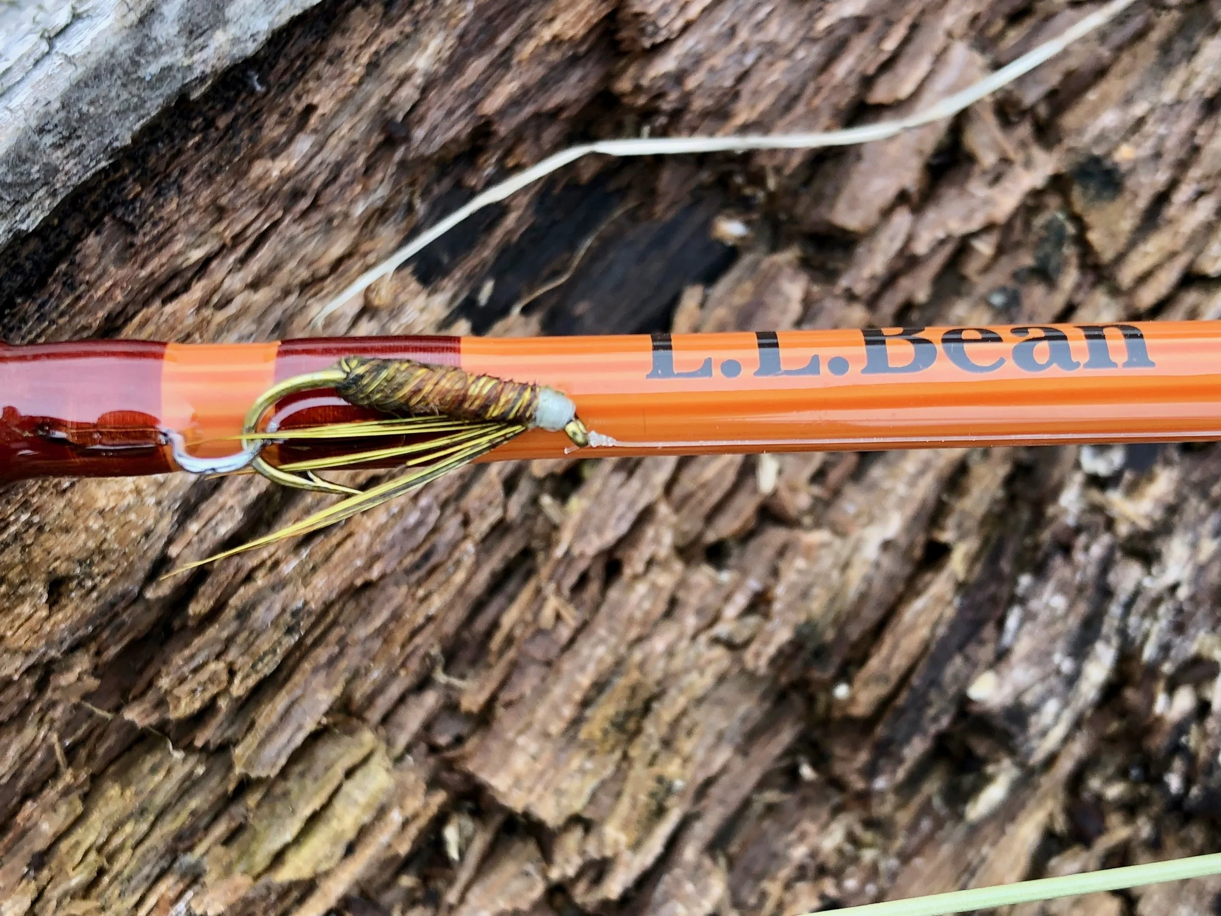 The Teeny Nymph is a simple but effective fly created out of pheasant tail fibers.