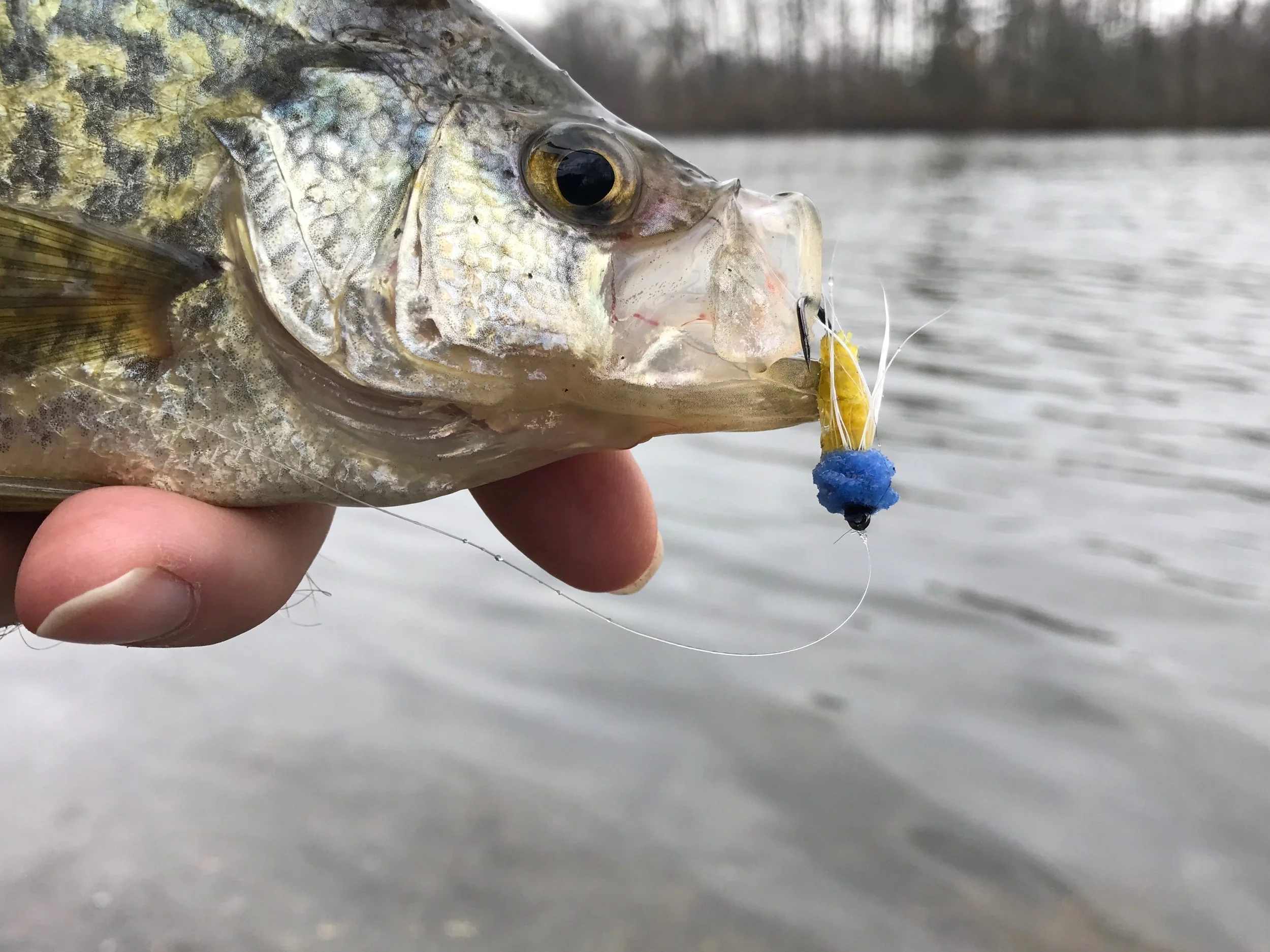 Small streamers like this James Wood Bucktail are deadly on crappie any time of the year!