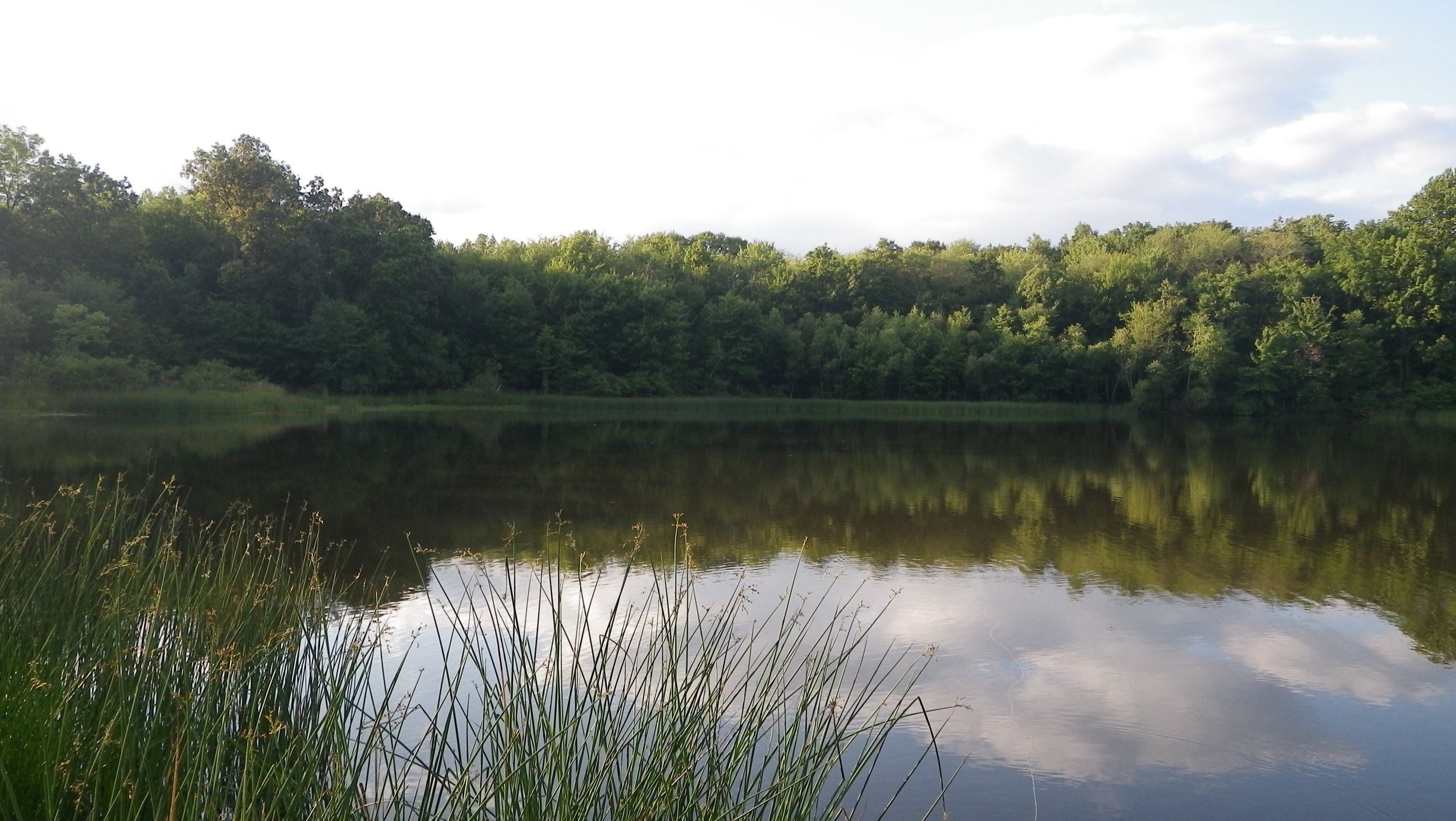 Habitat