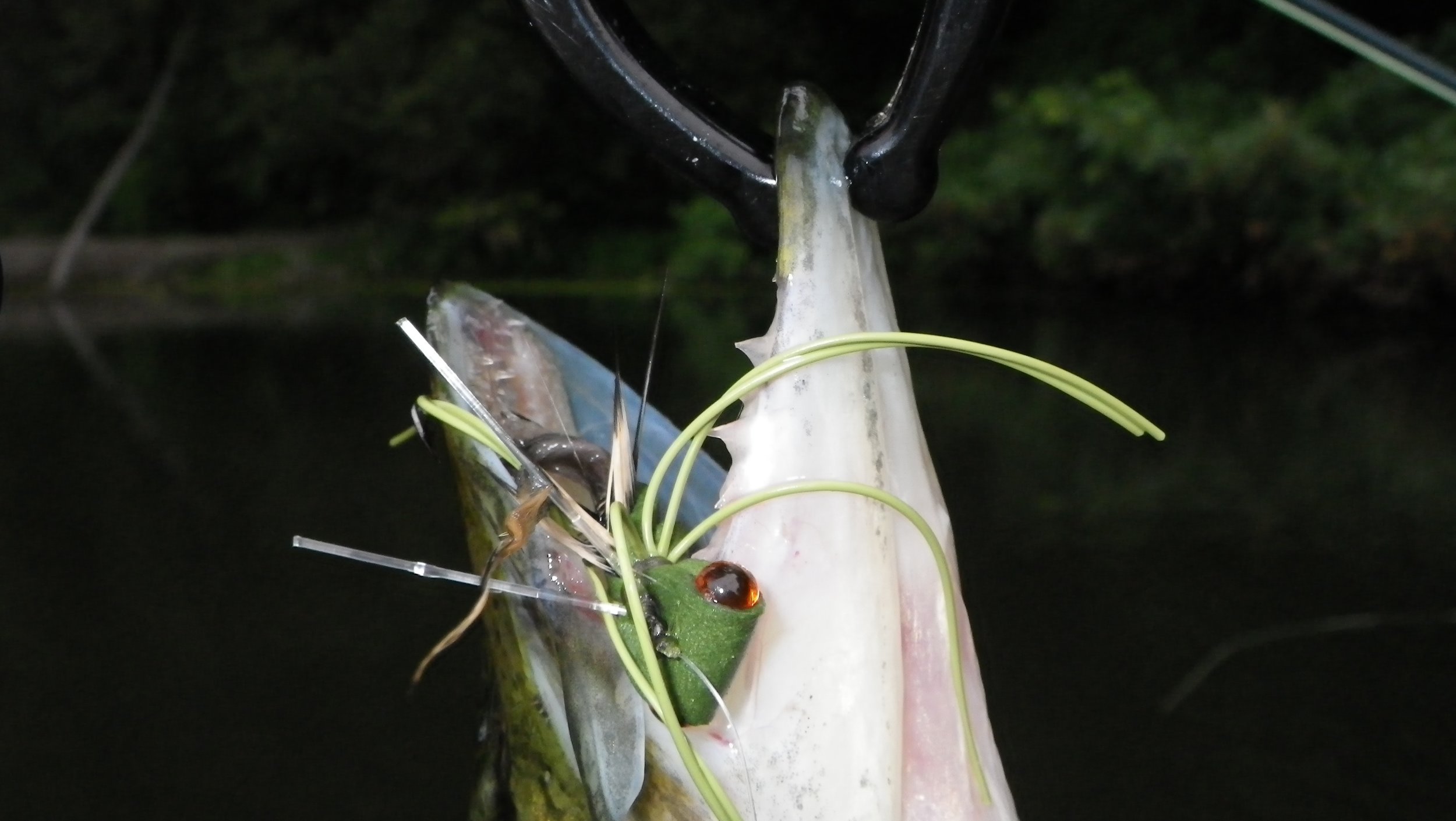 Effective Fly Patterns