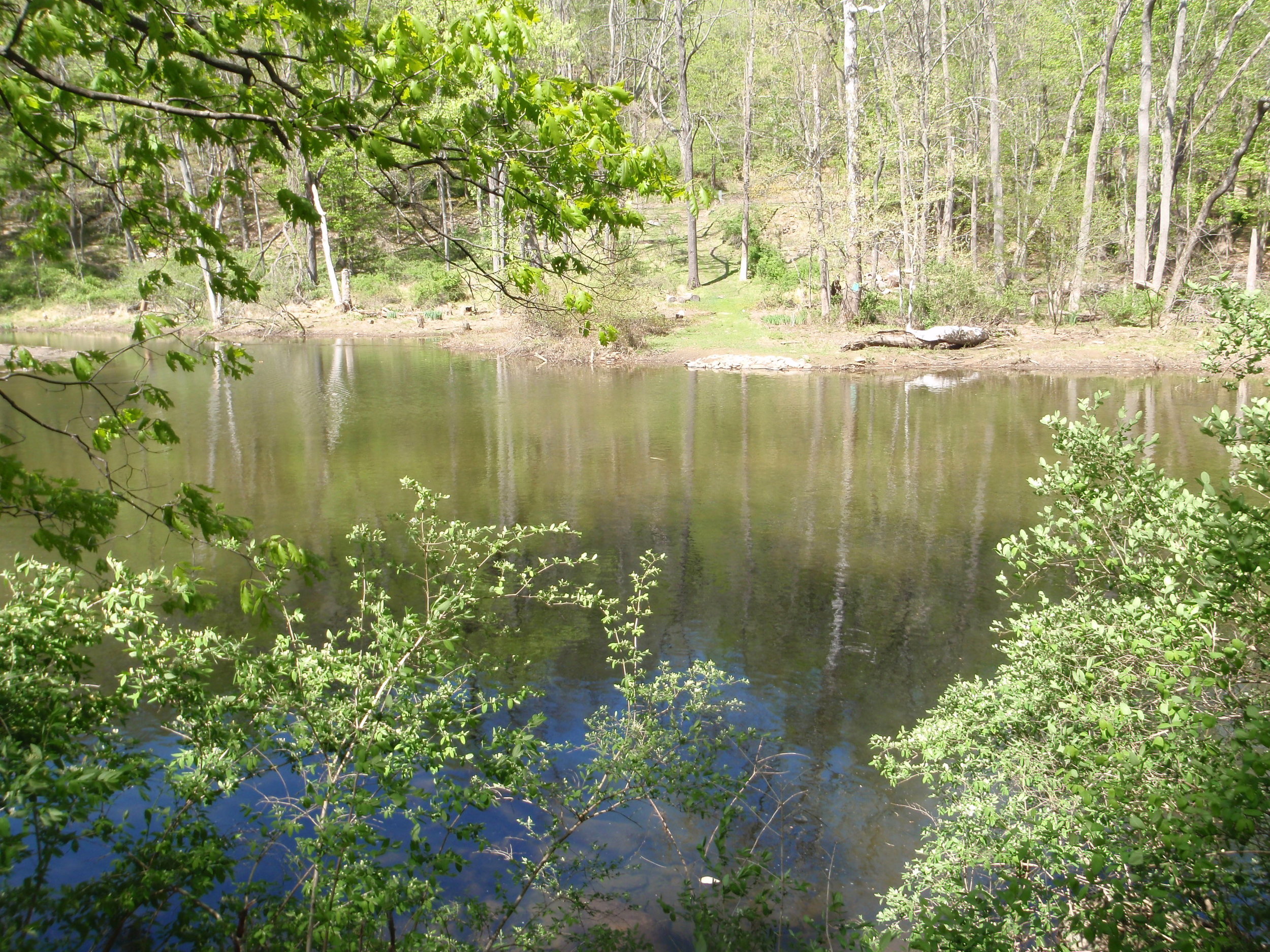 Spawning