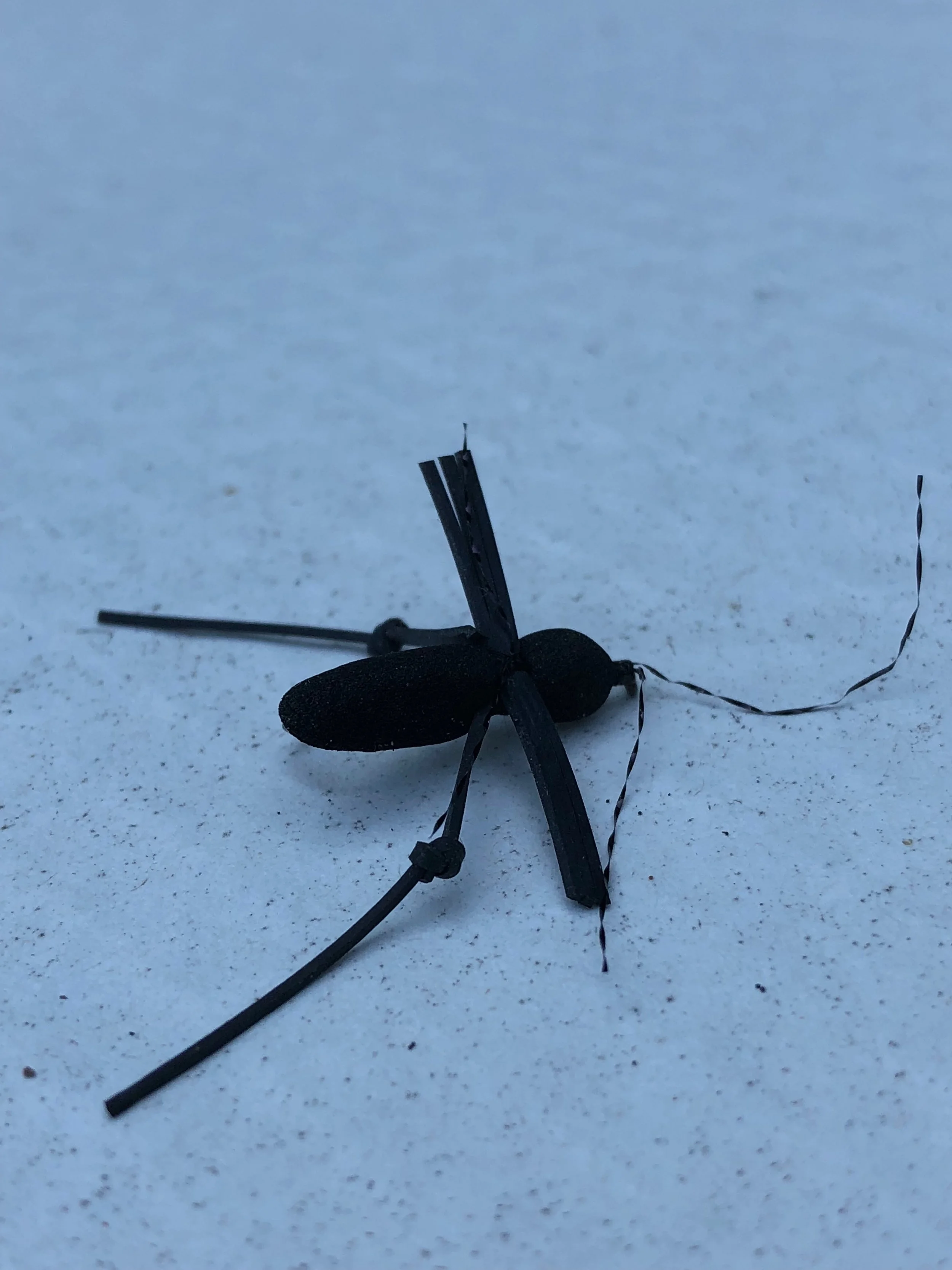 The original fly.