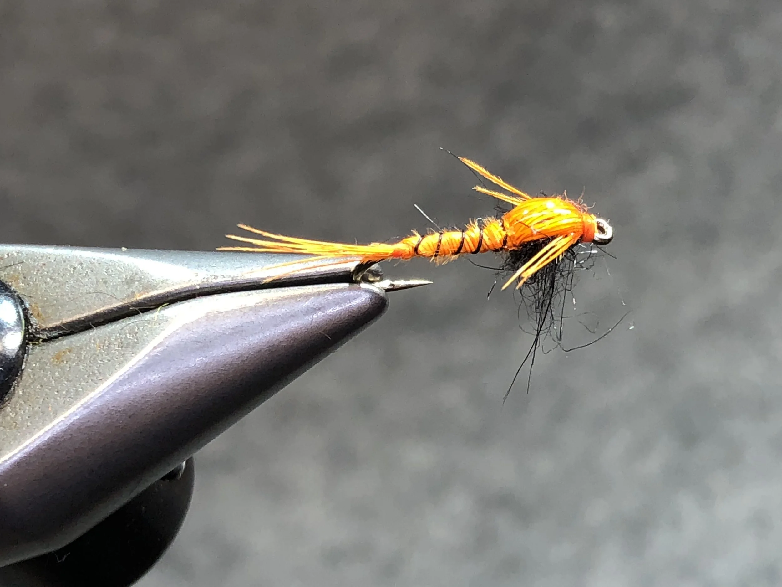 The Panfish Pheasant Tail Nymph