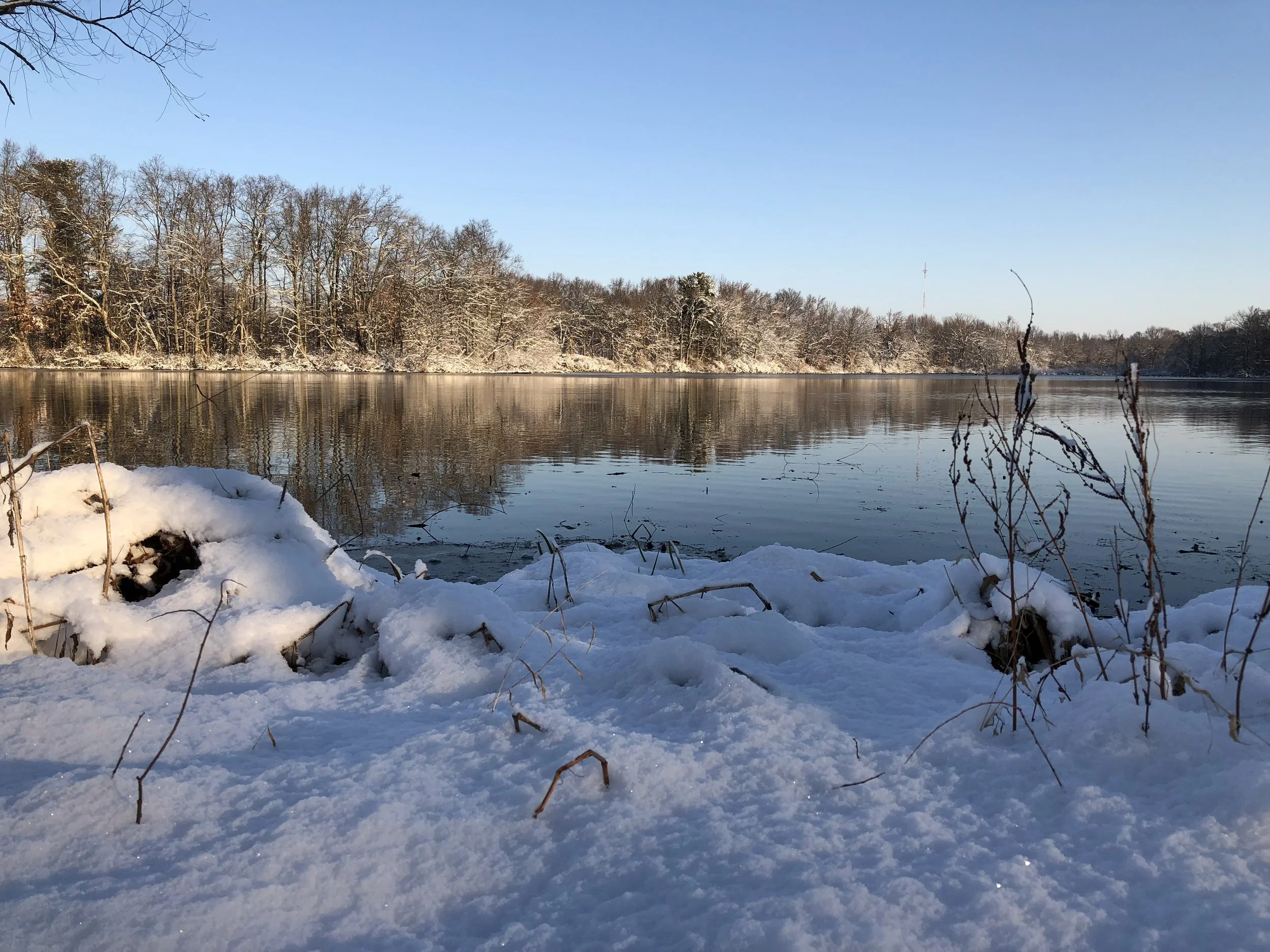 Even when things are cold and dreary you can still catch fish. Calm sunny days offer your best chance at success.