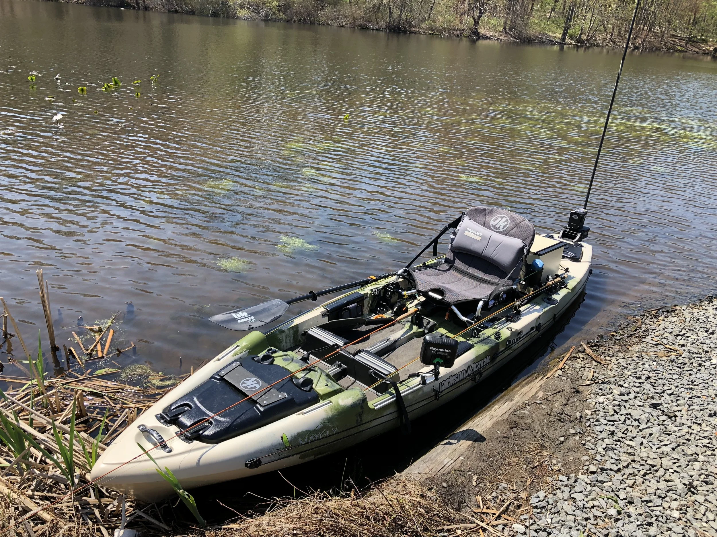 My decked out Jackson Mayfly