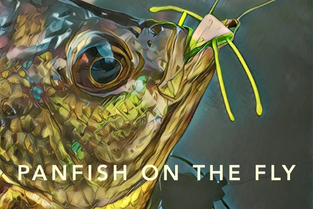 Presentation: Panfish On The Fly