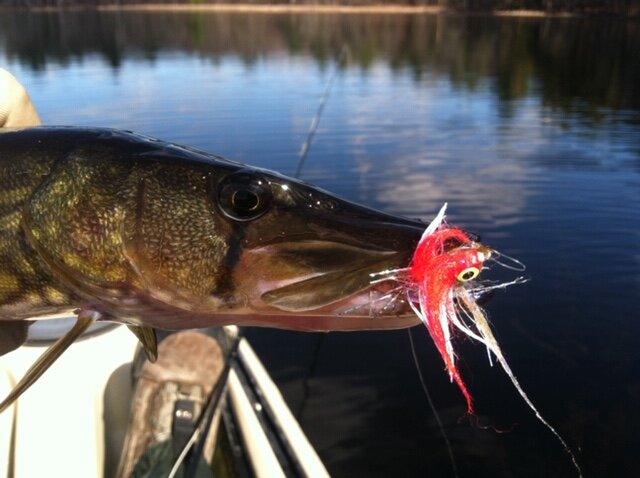 Fly Tying Friday - The Roman Candle — Panfish On The Fly