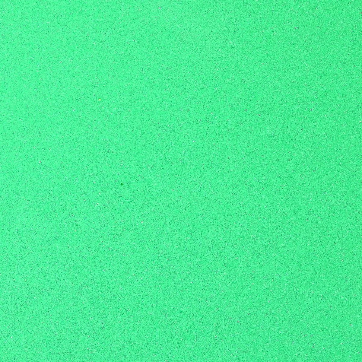 Fly Foam Insect Green.jpeg