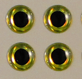 Fisch-Eyes-Chartreuse_1024x1024.gif