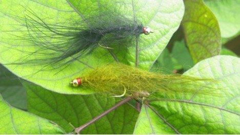 Fly Tying Friday - The Hale Bopp Leech as tied by Bill Ninke — Panfish On  The Fly