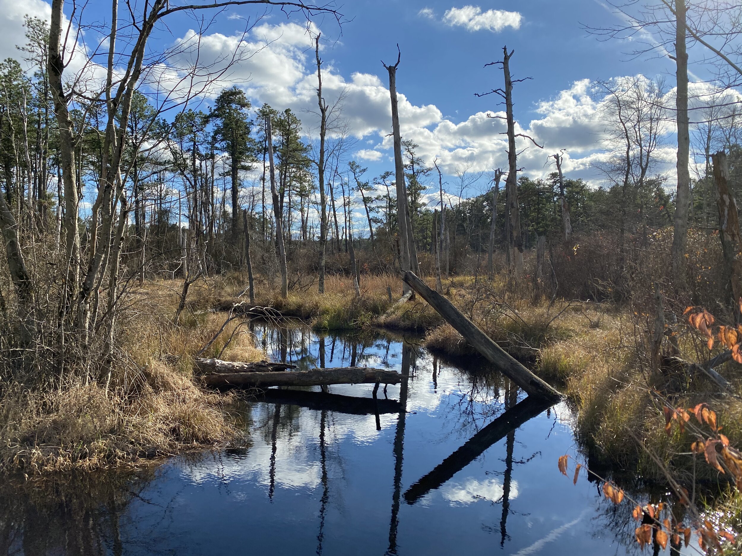 A Different Kind Of Blue Lining — Panfish On The Fly