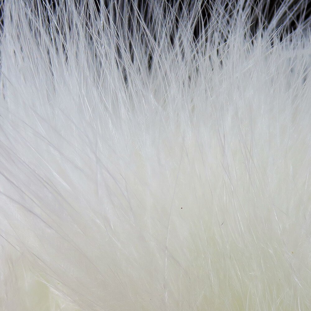 MARABOU BLOOD QUILLS - Select Marabou Feathers - Fly Tying Feathers -  Streamers