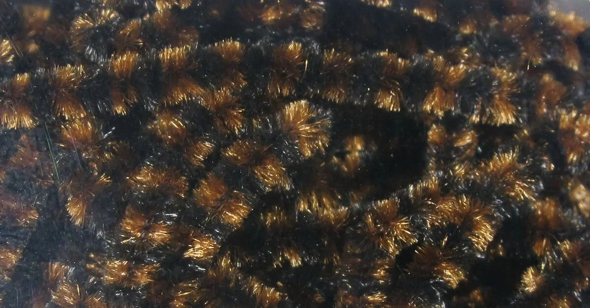 Black brown.jpeg