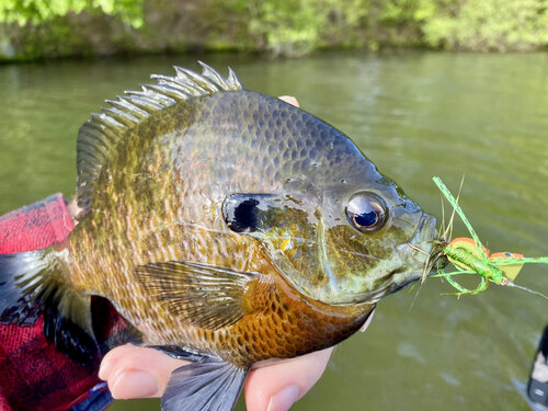 Fly Tying With Sheet Foam — Panfish On The Fly