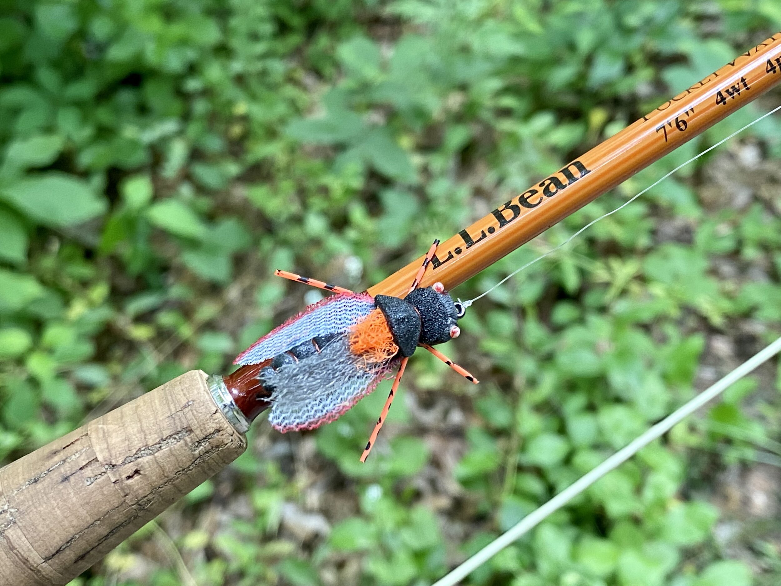 Fishing The Big Bug - The Brood X Cicada — Panfish On The Fly