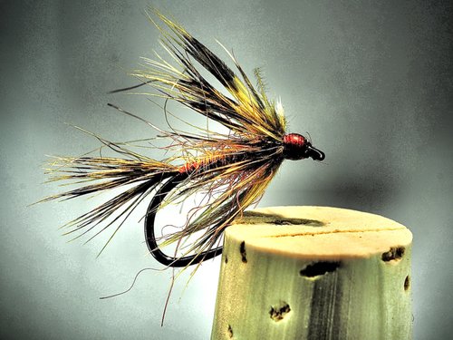 The Soft Hackle - March 2022 Fly Of The Month — Panfish On The Fly
