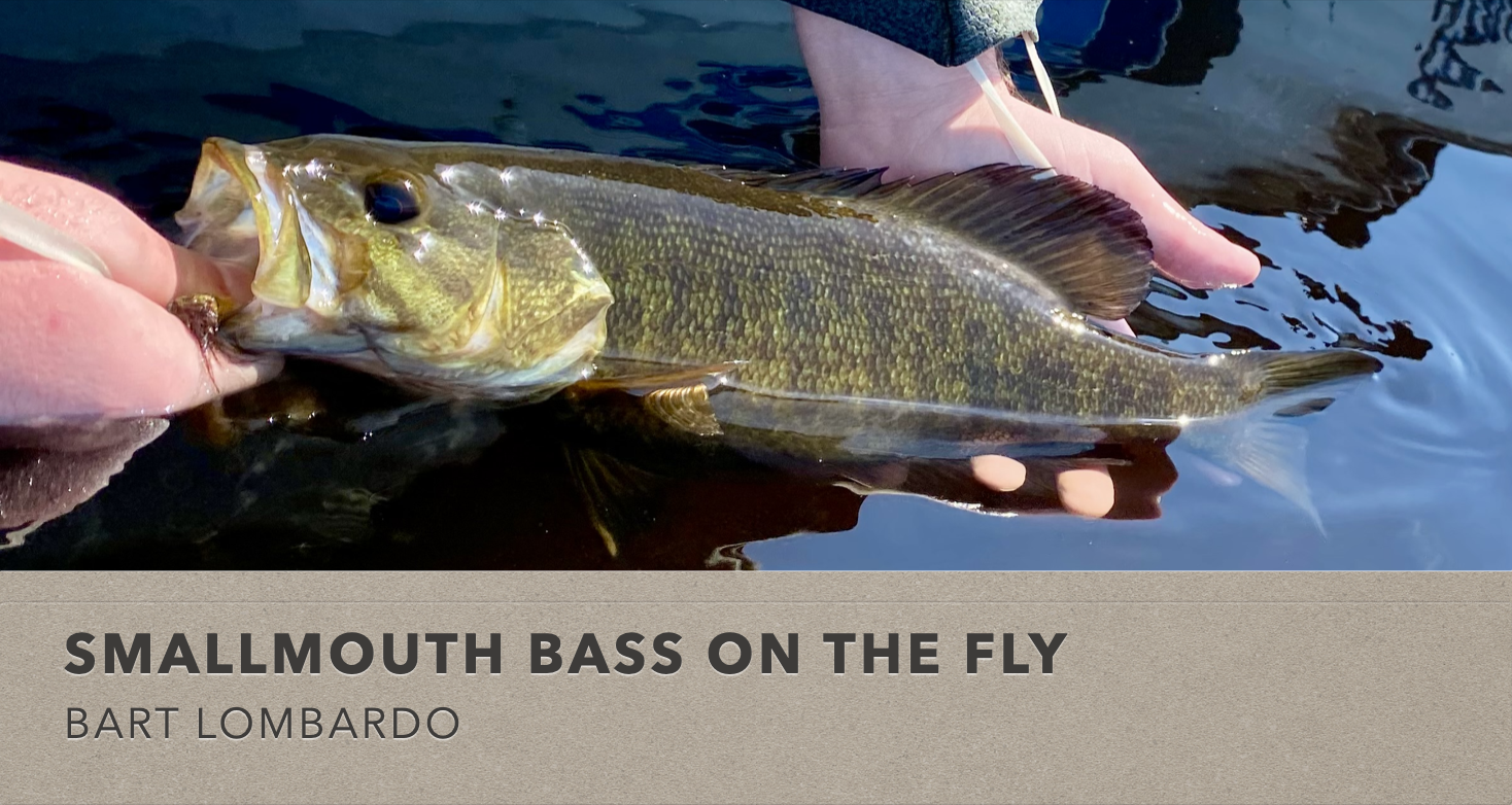 Presentation: Smallmouth Bass On the Fly - South Jersey Coastal Fly Anglers
