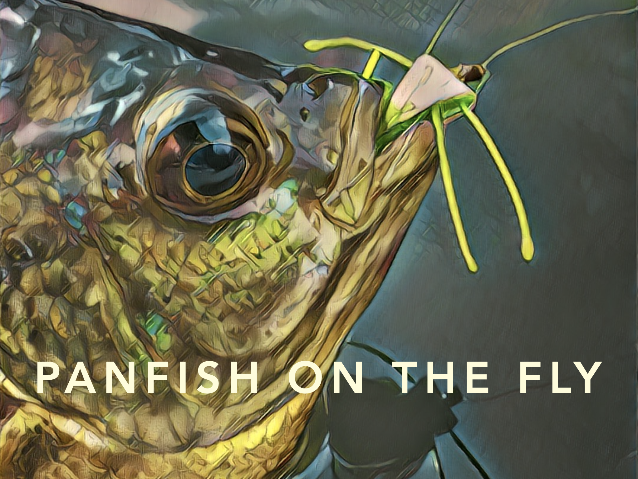 Presentation:  Panfish On The Fly - Anglers Club Of Philadelphia