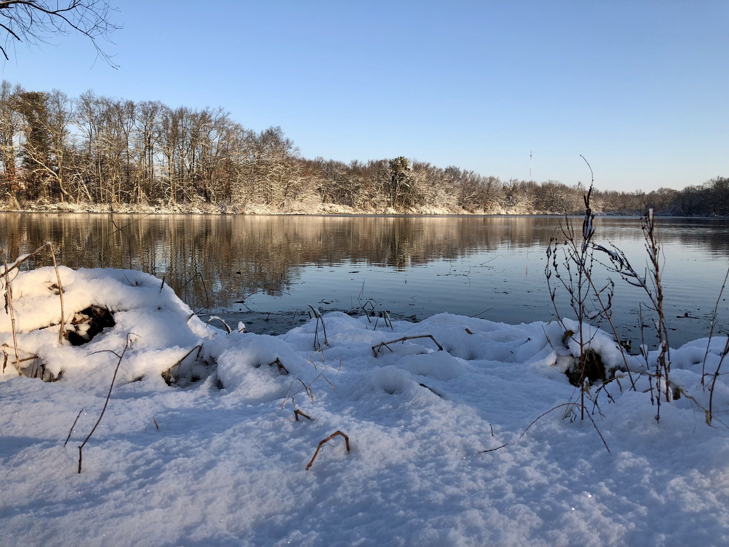 How to Fly Fish for Trout in the Winter - The Fly Crate