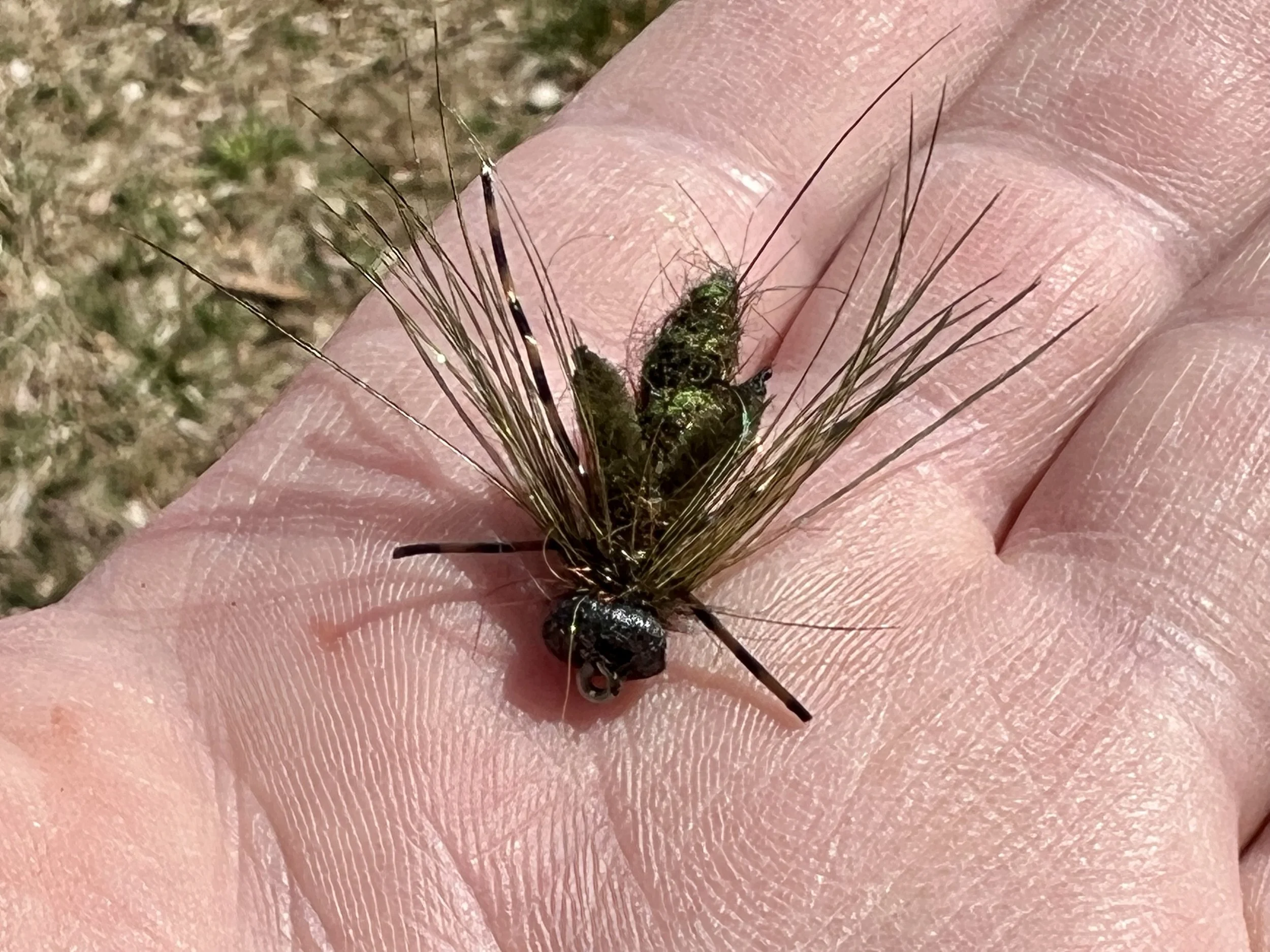 The Floating Dragonfly Nymph - April 2022 Fly Of The Month — Panfish On The  Fly