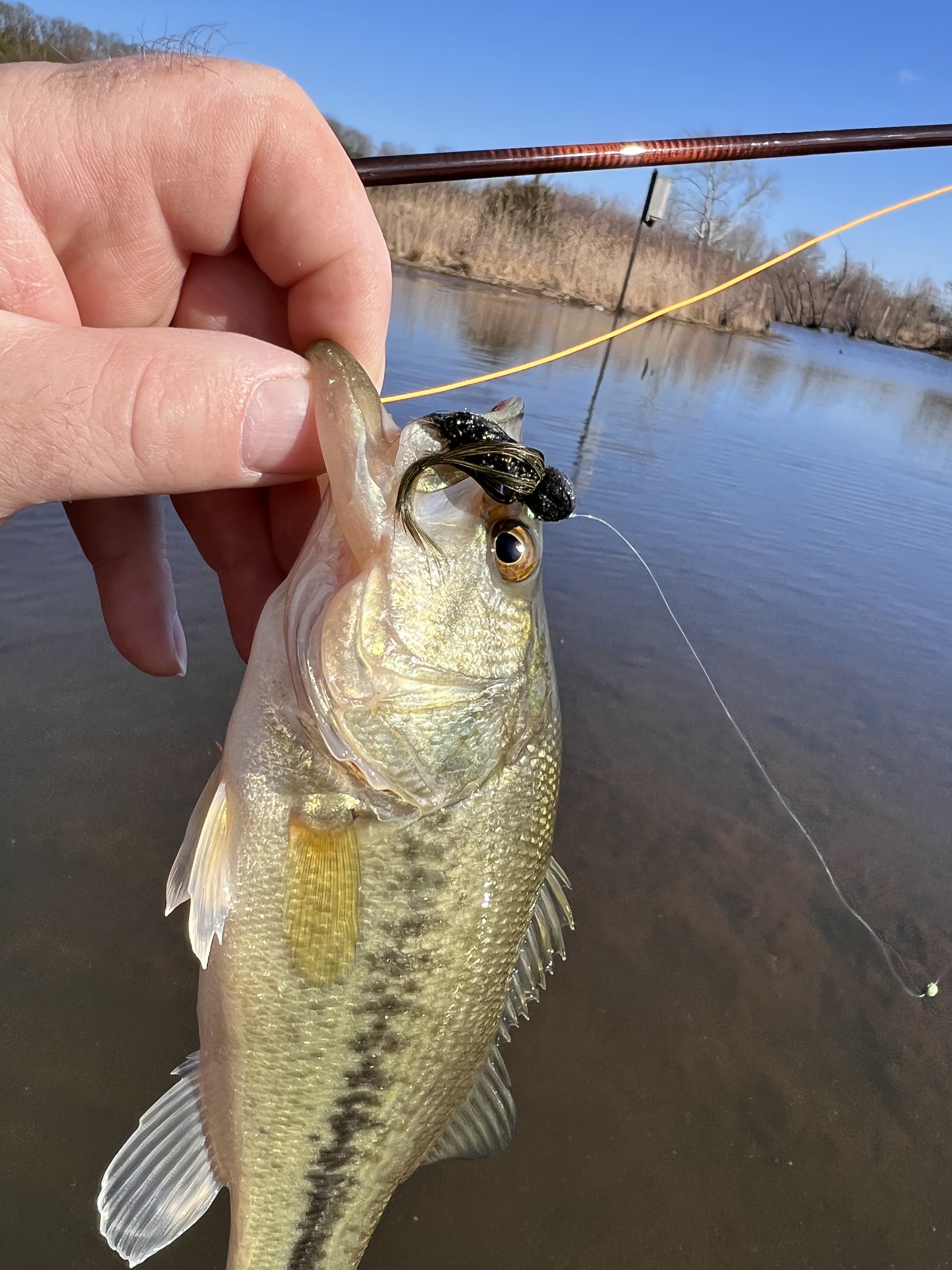 The Floating Dragonfly Nymph - April 2022 Fly Of The Month — Panfish On The  Fly