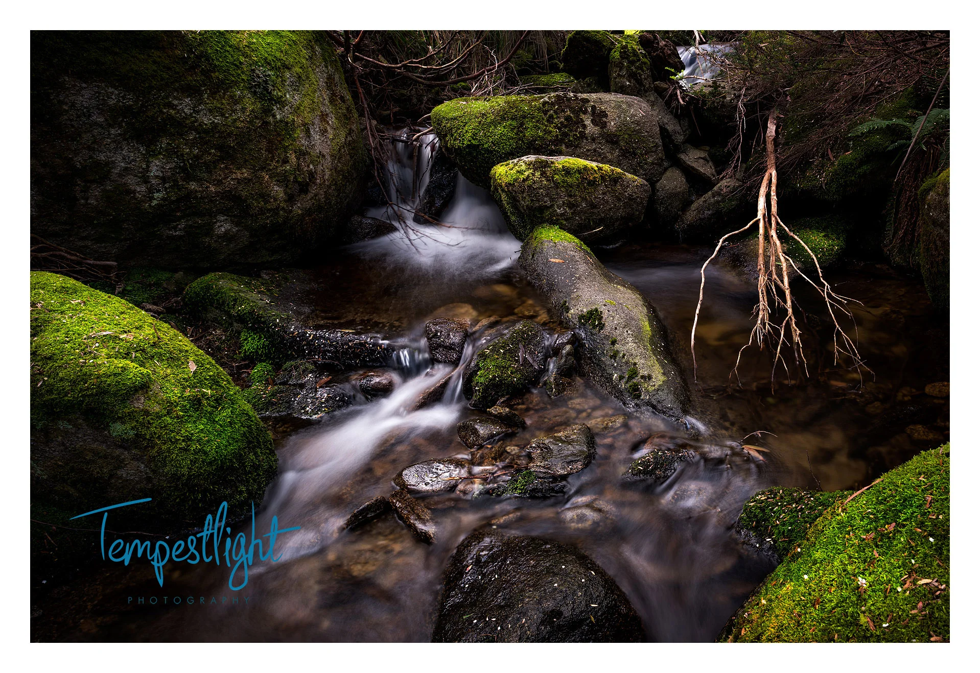 Thredbo_Creek_A_Website 2.jpg