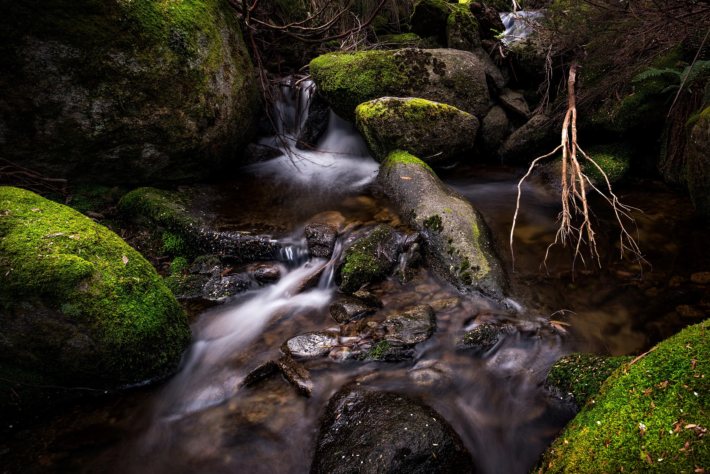 Thredbo Creek.jpg