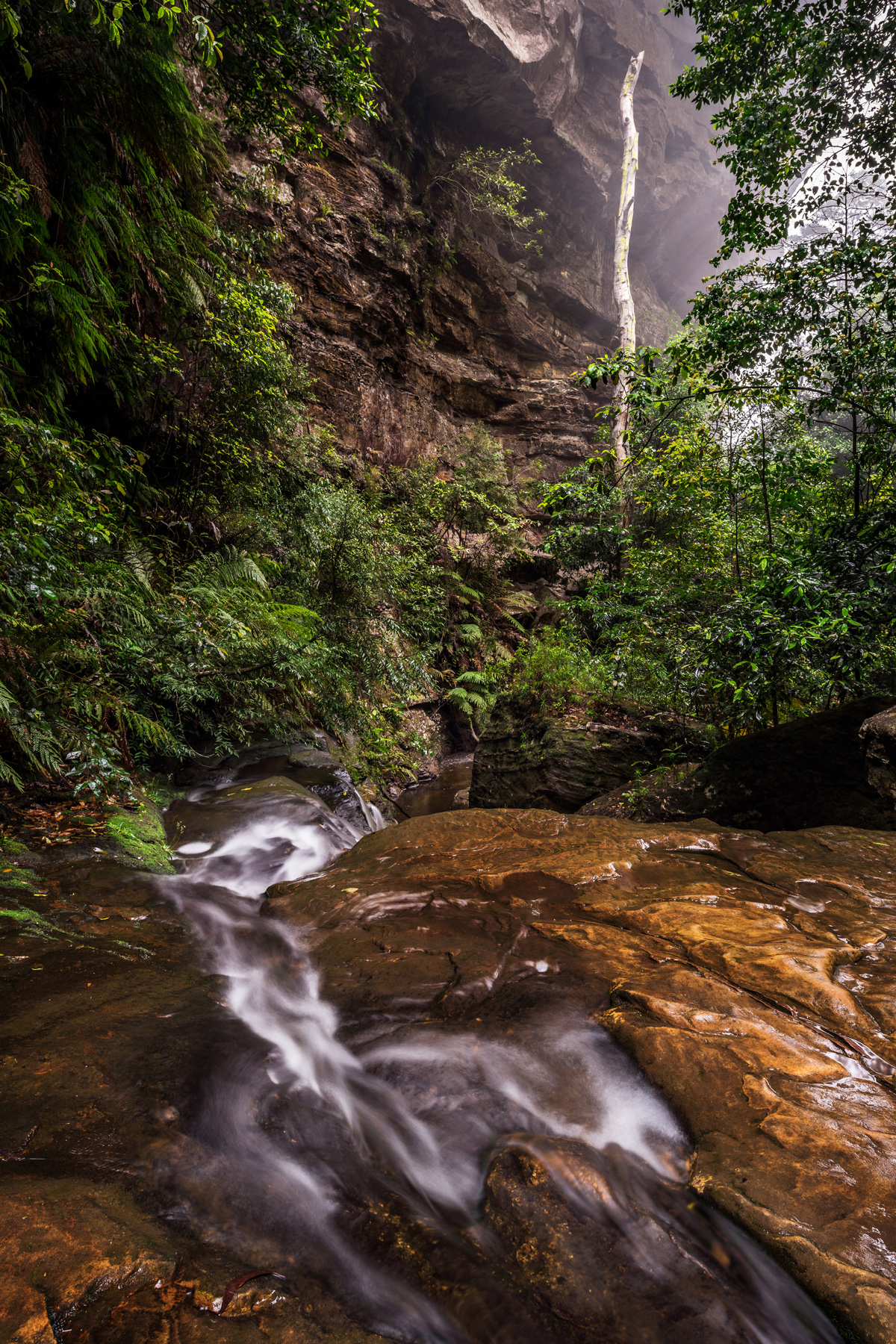 Valley Of The Waters.jpg