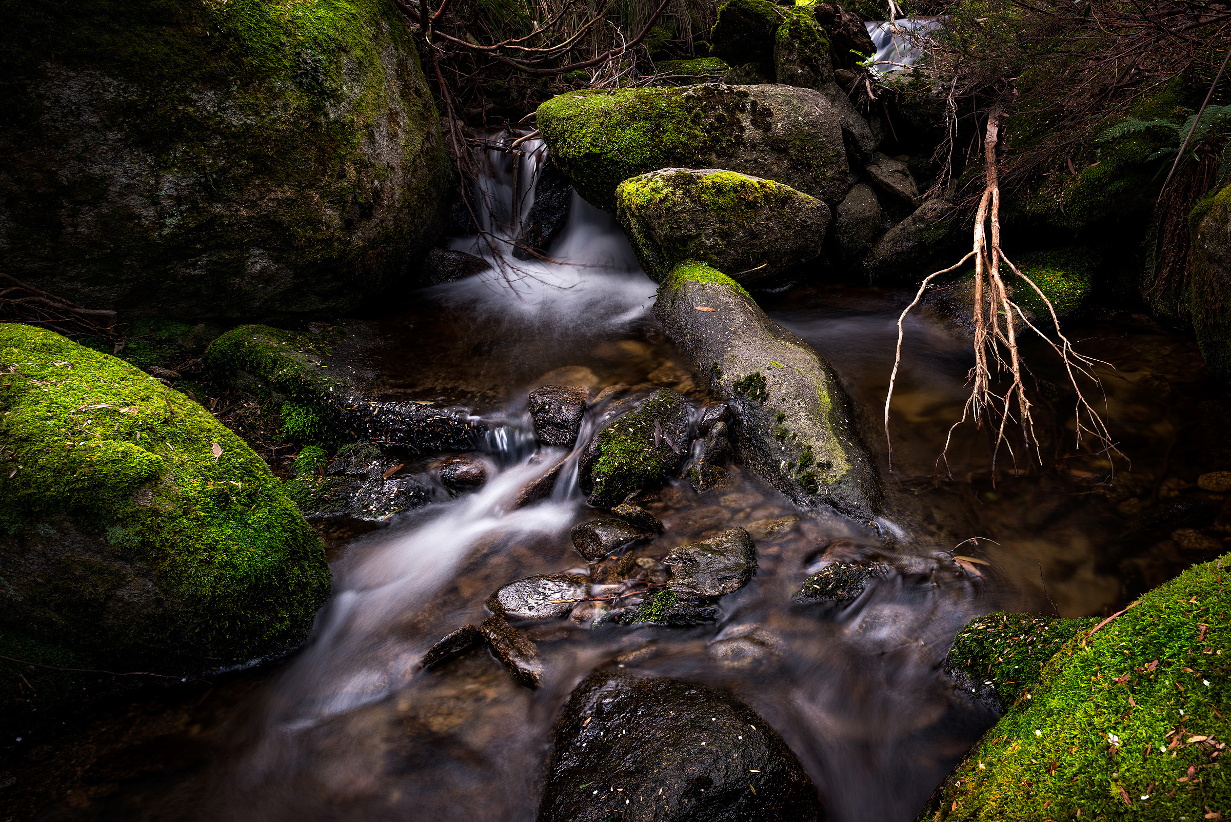 Thredbo Creek.jpg