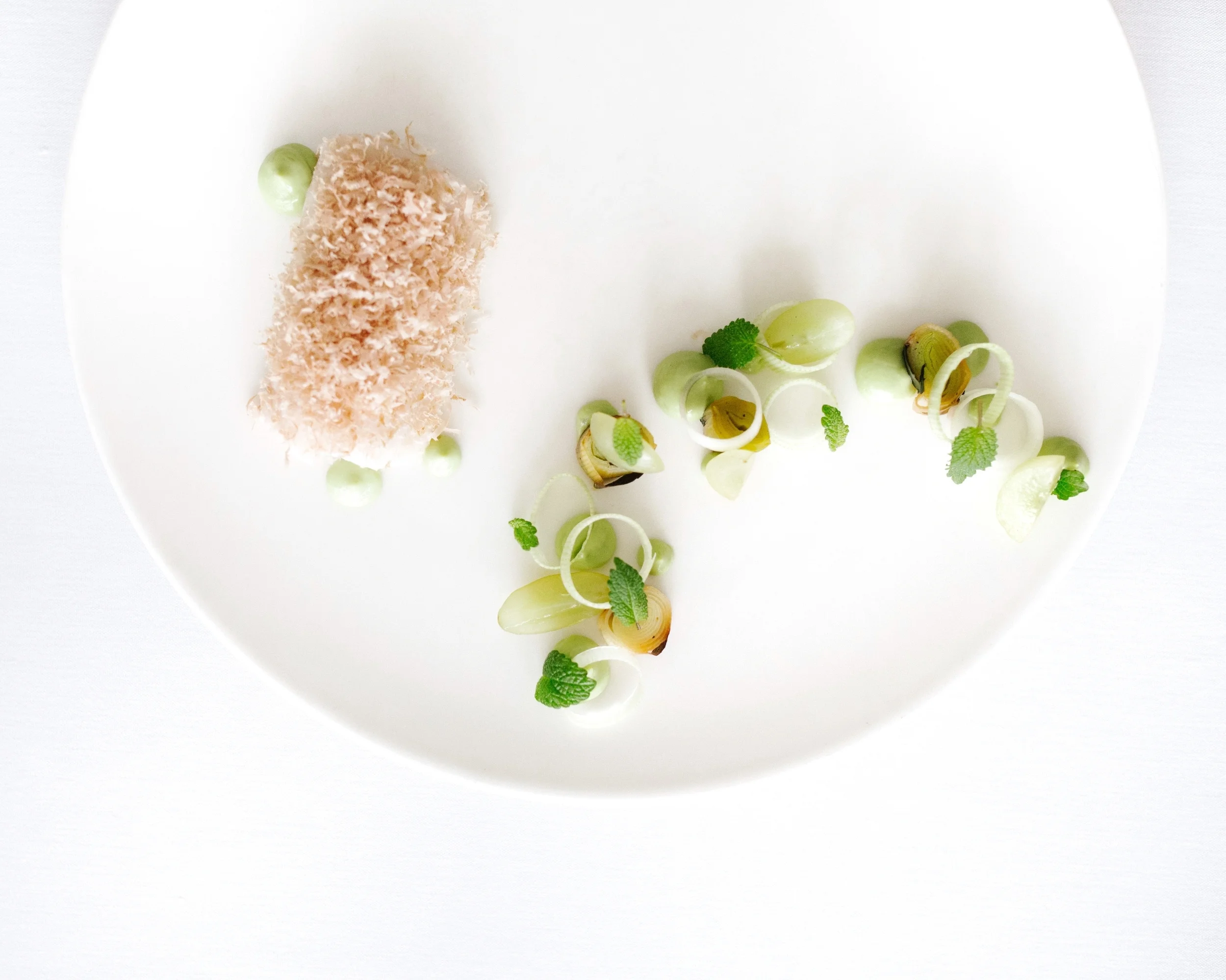 Photo Dec 14, 3 00 48 AM.jpg