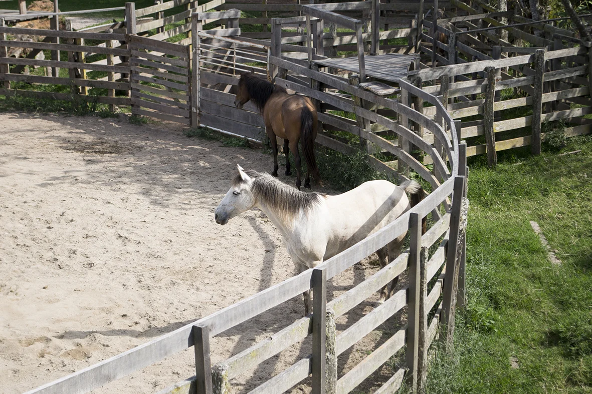 oxa2016post  - 001.JPG