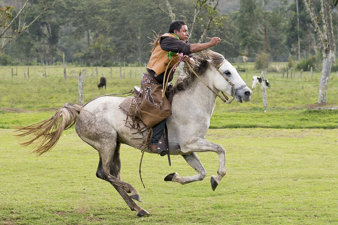 oxa2016post  - 003.JPG