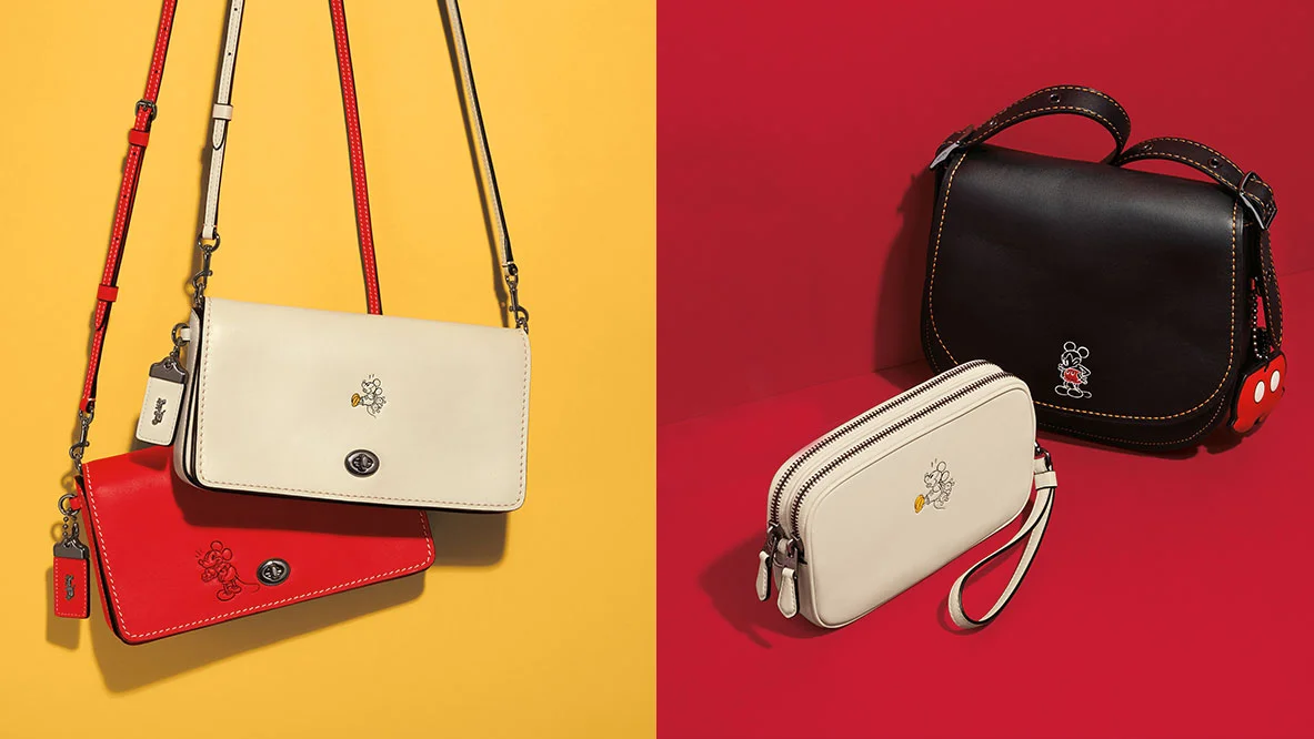 Disney x coach.jpg
