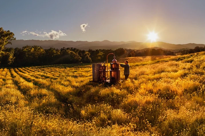 occitane_header.jpg