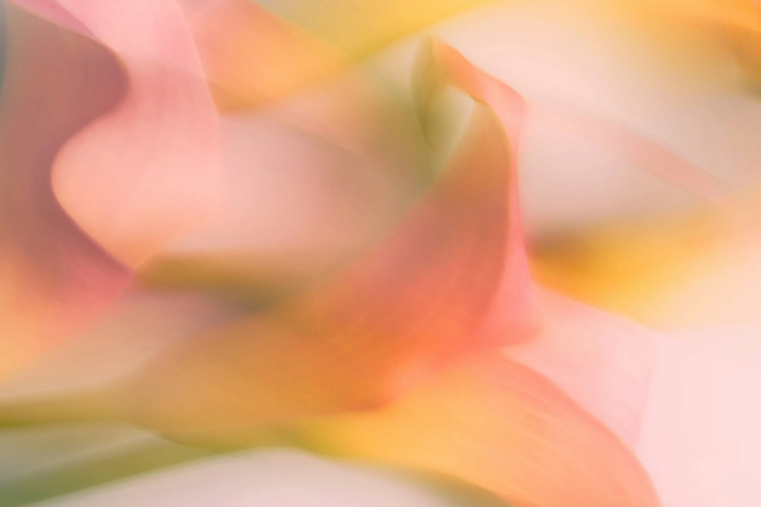 unsplash-image-lAirgGYIZCo.jpg